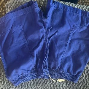 Imogene +willie blue shorts